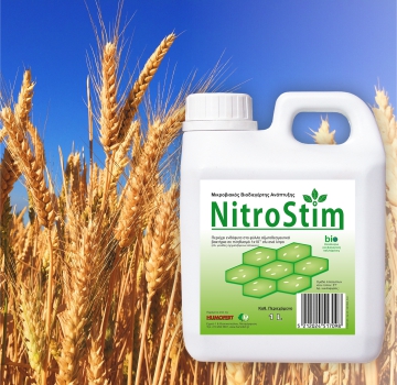 Application of Nitrostim in wheat